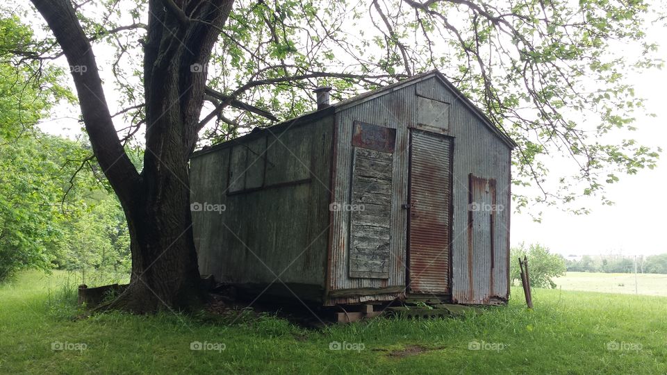 The Old Shed