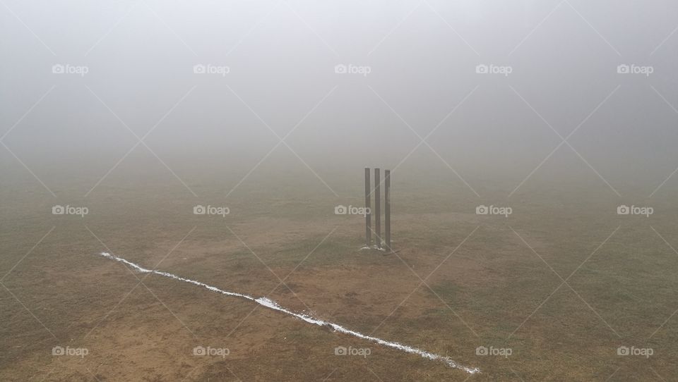 cricket in foggy morning in winter