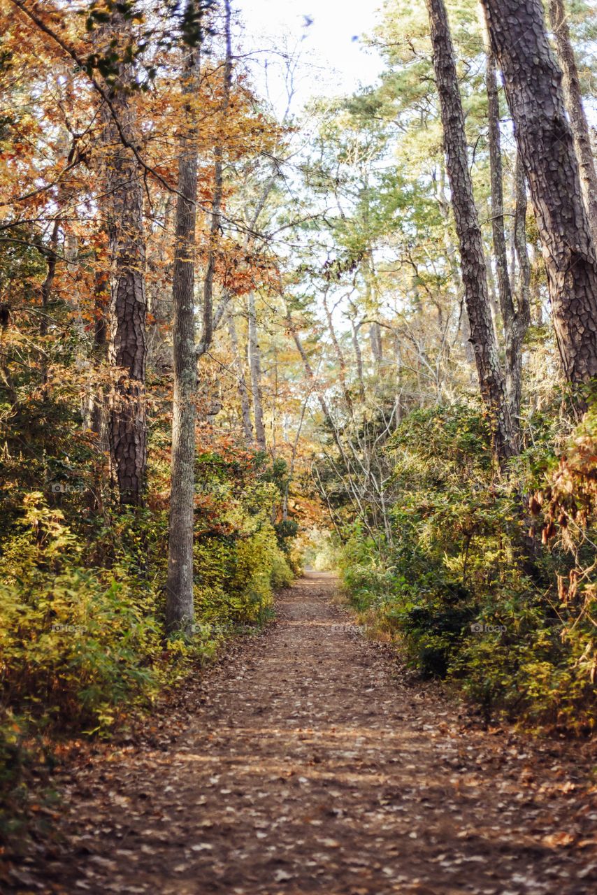 Fall adventures will always be a favorite 🍂