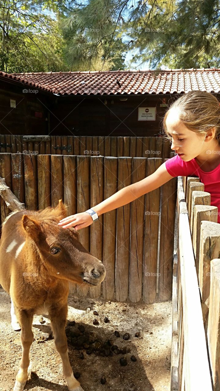 Cute girl stroking foal at farm