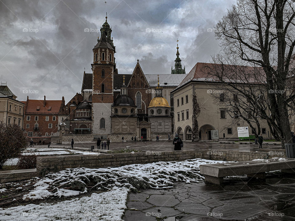 Cathedral of Saints. Stanislav and Wenceslas
