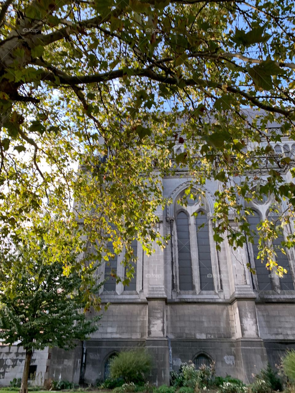 Lille cathédrale 