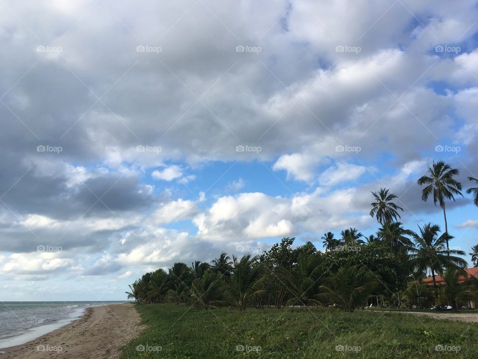 Aqui temos mais uma das belas paisagens de Maragogi - Alagoas, Brasil. Viva a Natureza!