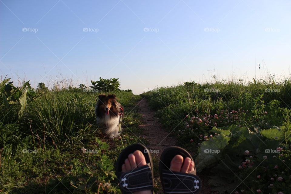My feet and my lovely dog 