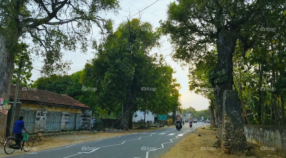 Asian Road - Sri Lanka