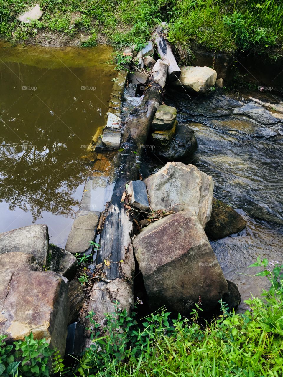 Services available to remain