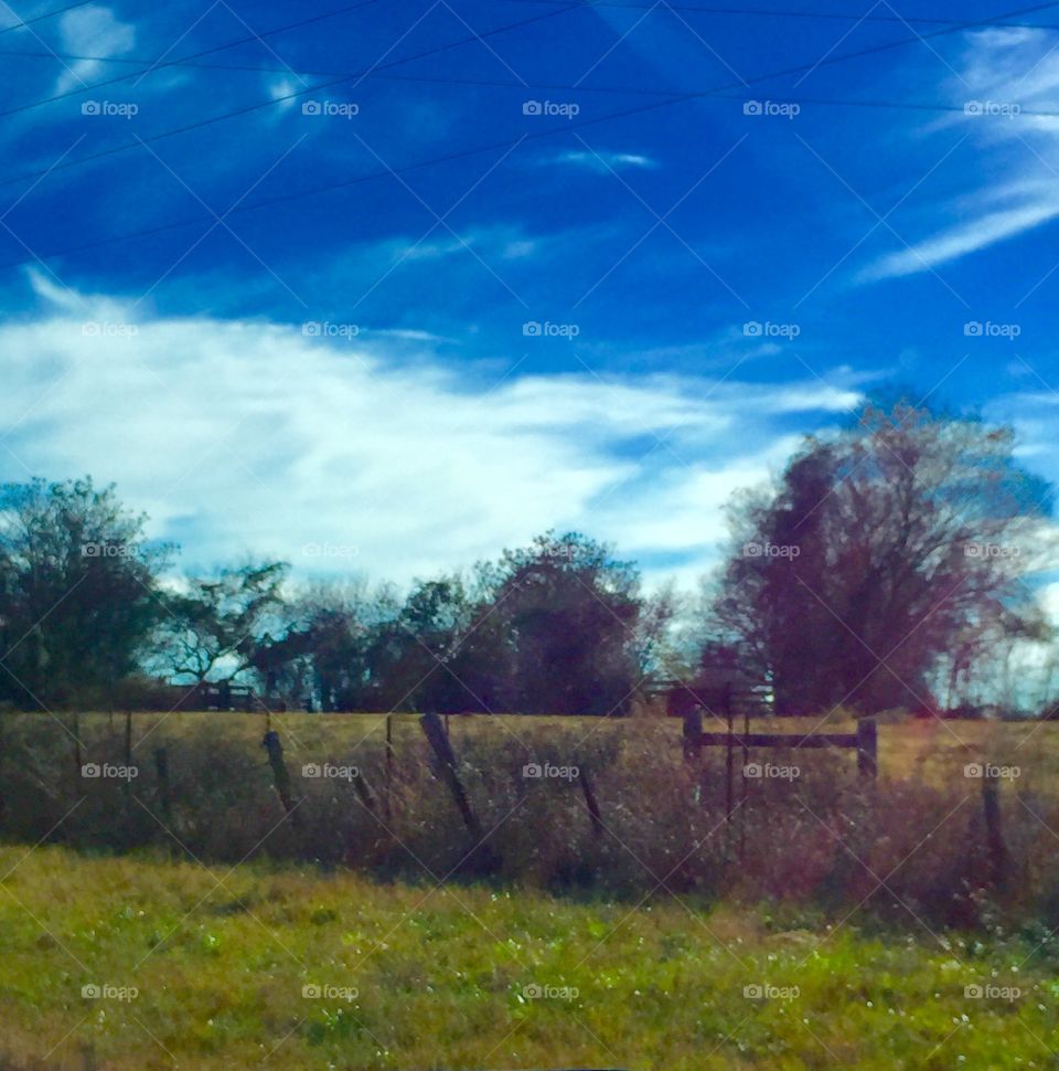 Gorgeous blue sky and field with fence in countryside.