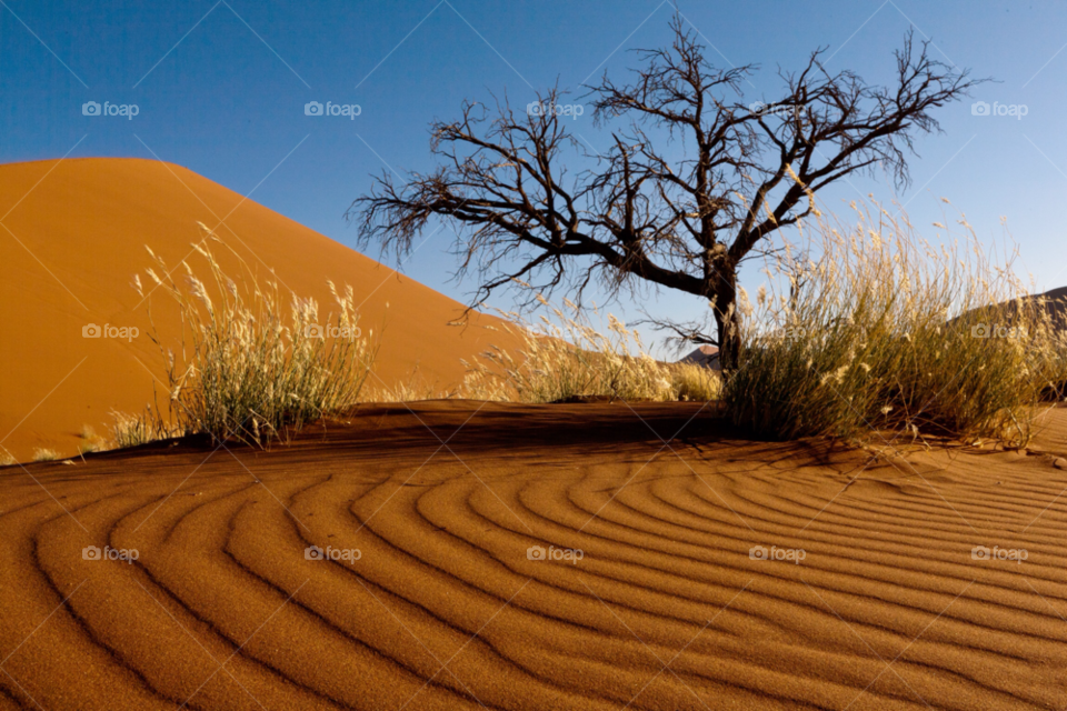 dunes namibia sossusvlei by Prince_Albert