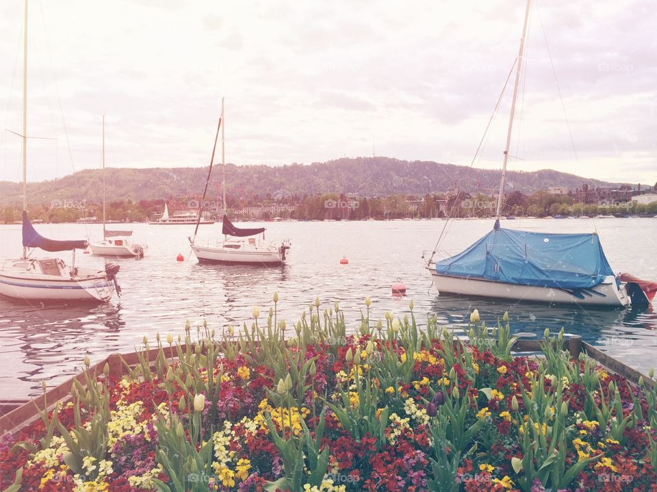 Zurichsee boats