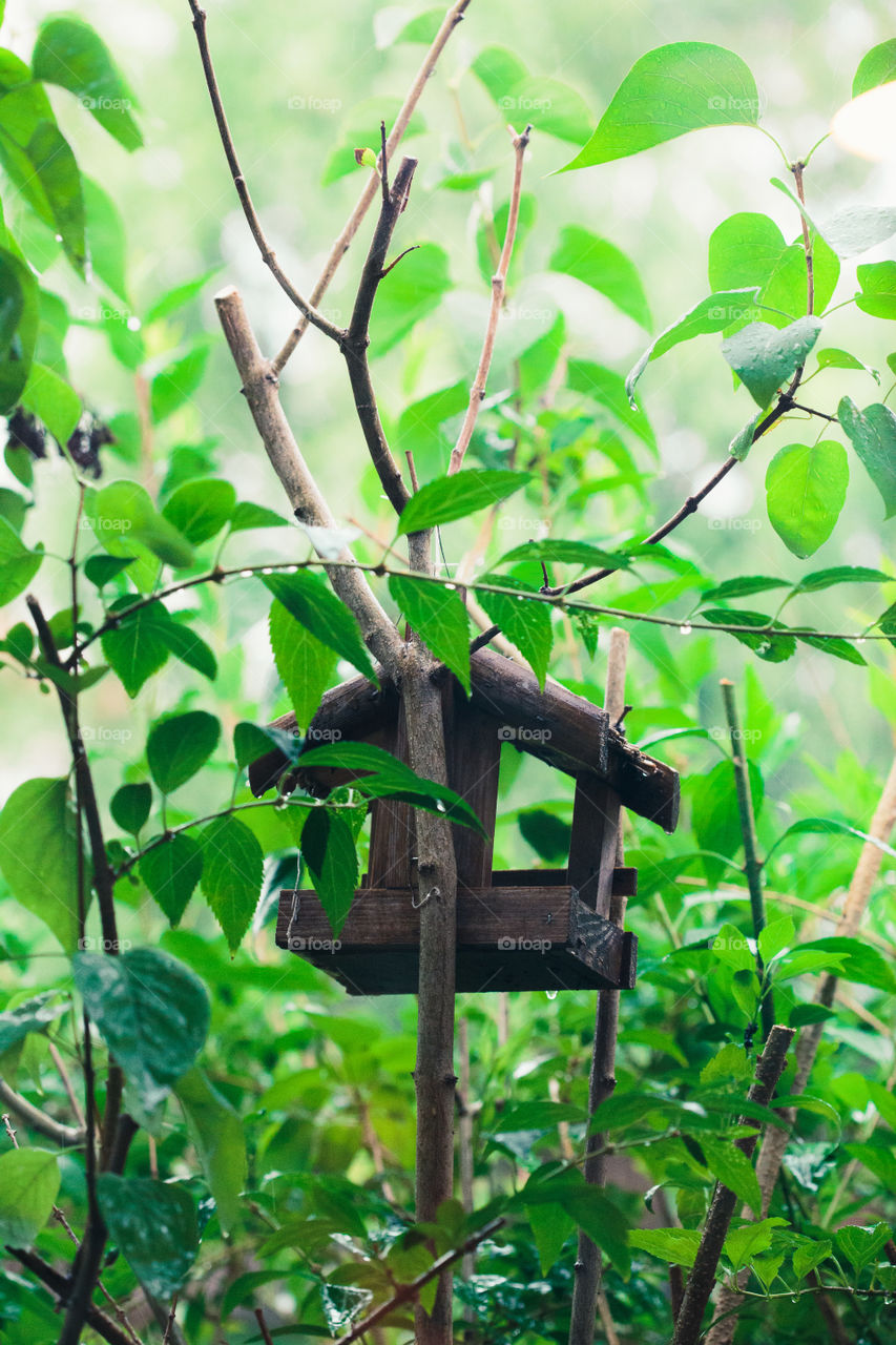 Bird house on a tree among the green leaves in springtime. Shelter and feeder for birds. Wildlife close to human. Copy space room for text