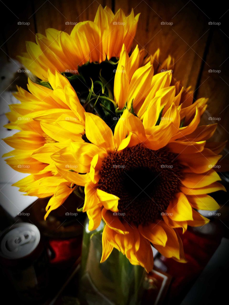 beautiful  sunflowers