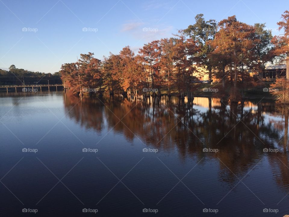 Fall on the bayou at University of Louisiana Monroe. 