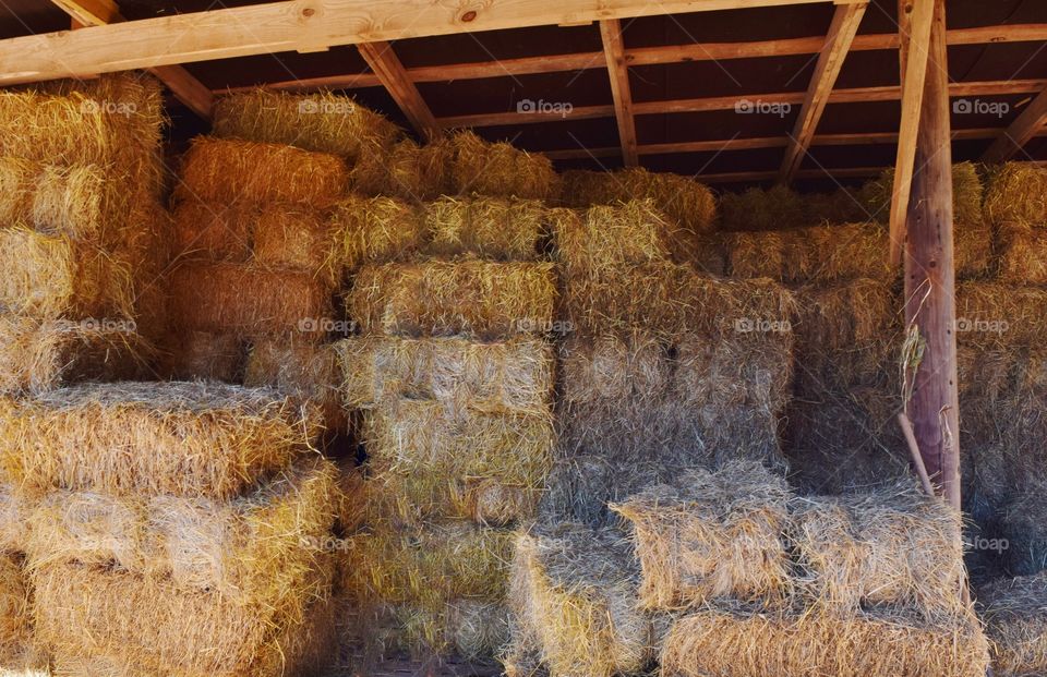 Stacks of hay in a barn