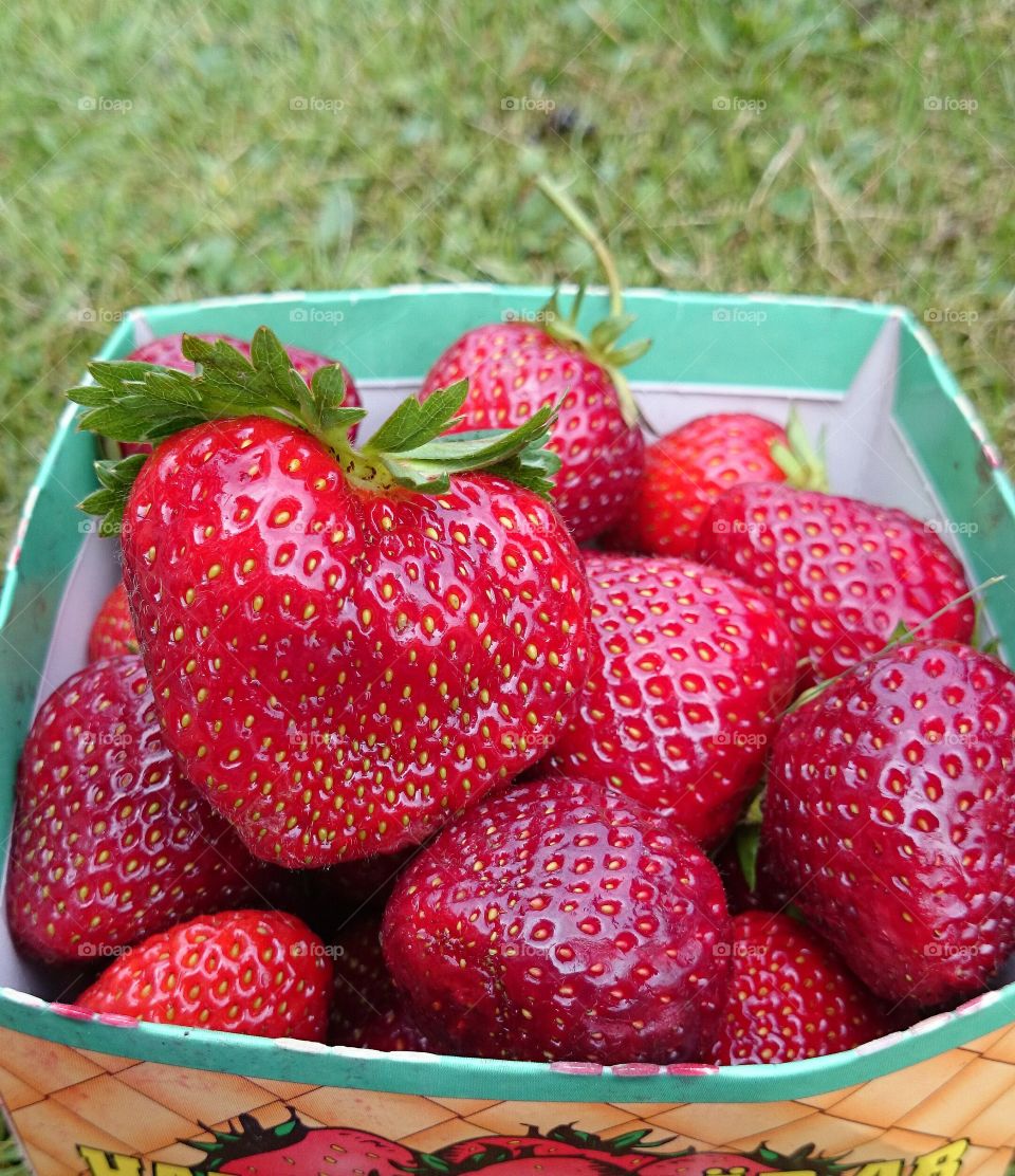 Strawberries