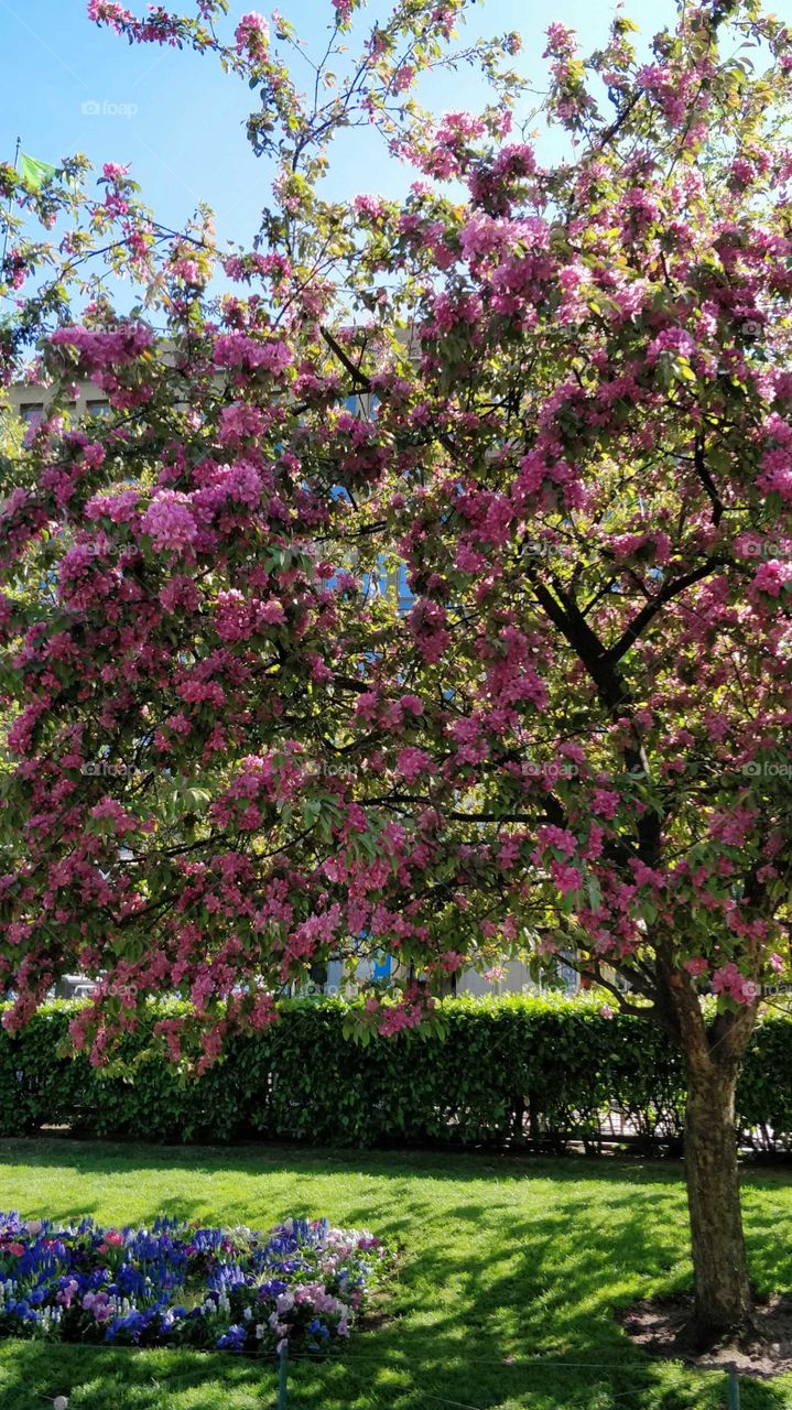 Beautiful spring in Helsinki