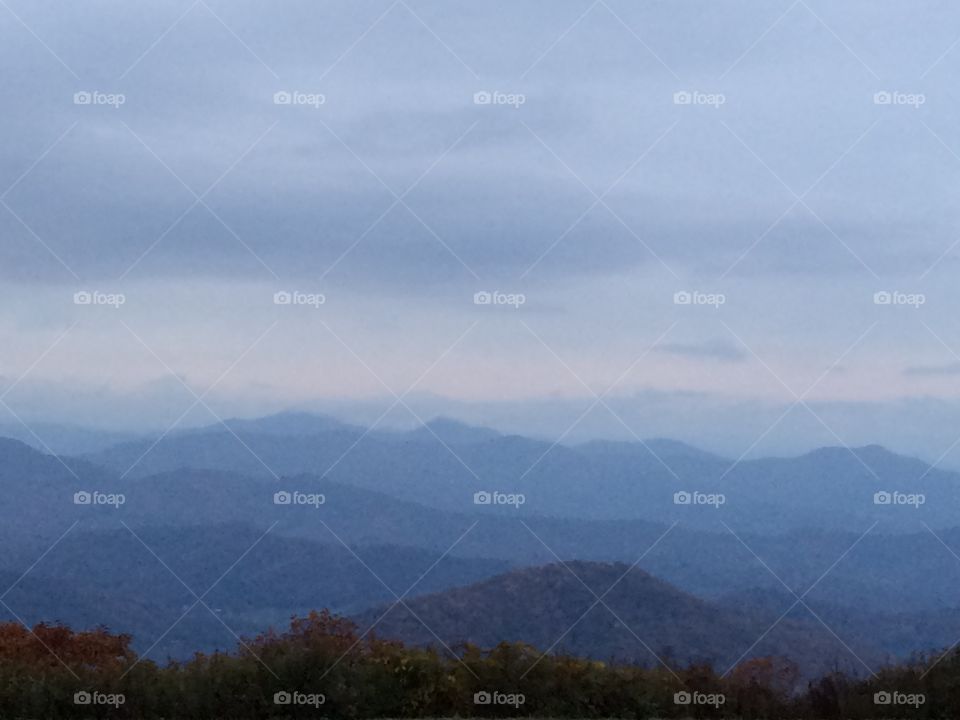 Fog, Landscape, Mountain, Sky, Tree