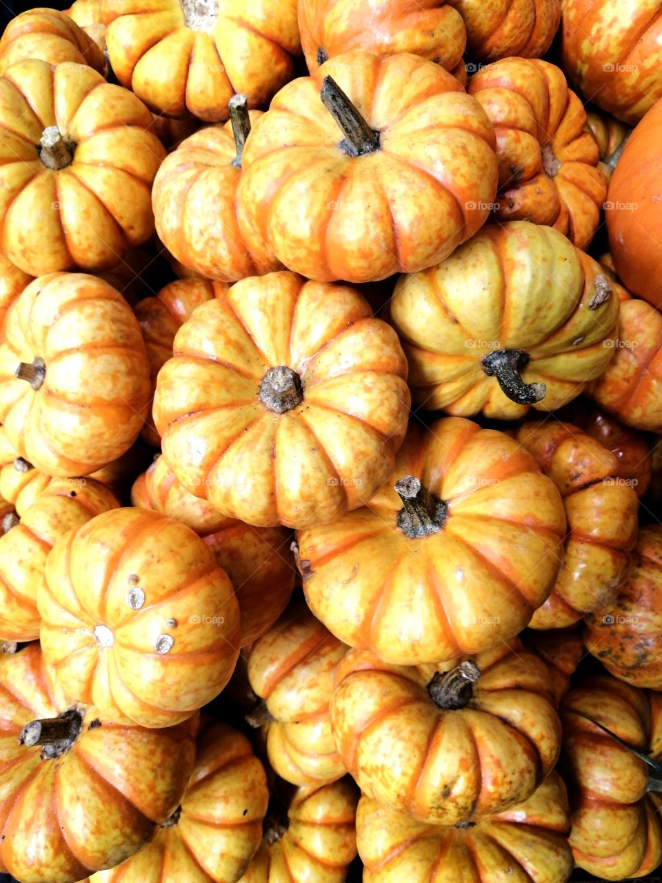 Calabazas