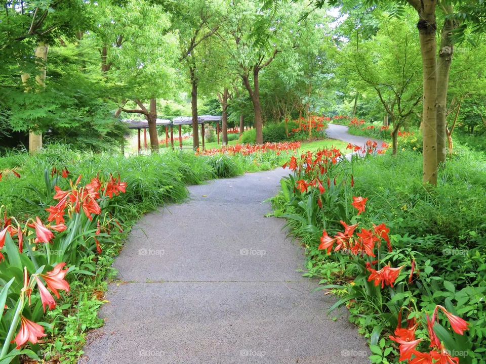 spring is colorful, red and green always is nice