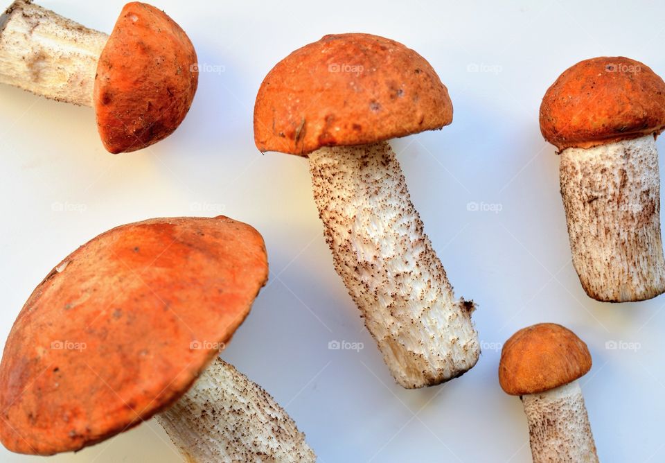 orange cap mushrooms