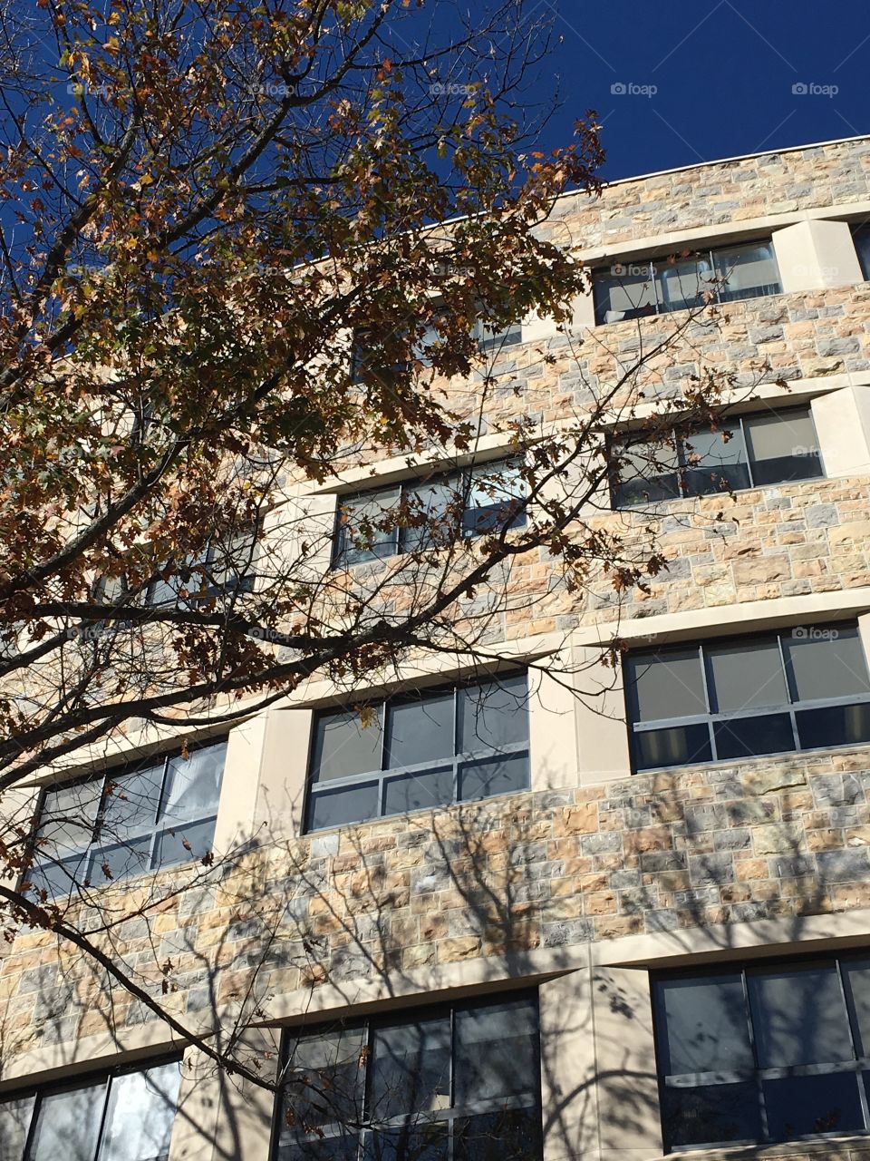 Collegiate Architecture 