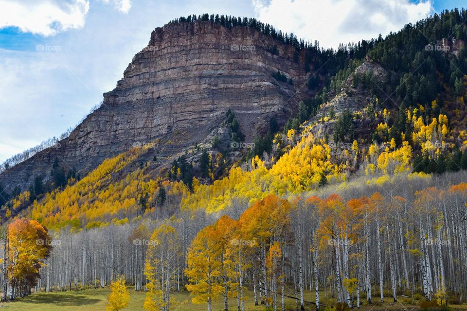 The fall season has arrived in Colorado as reflected by the leaves shedding their green and donning a coat of red and gold