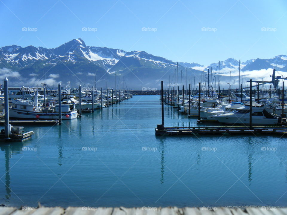 A harbor in Alaska 