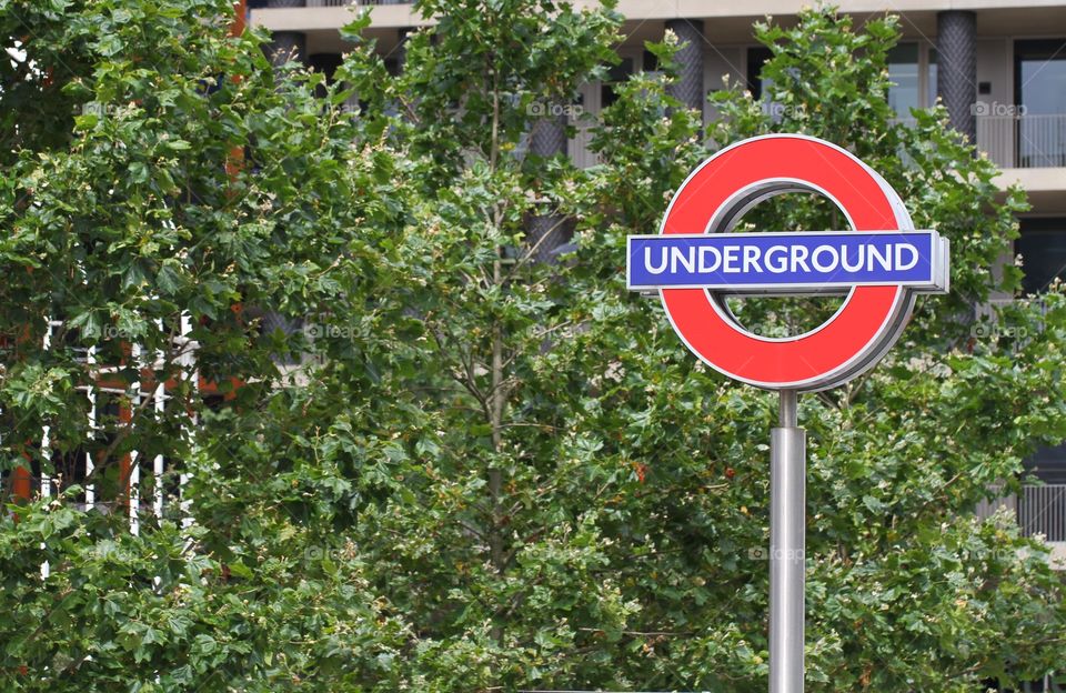 A London Underground sign with a green tree behind.