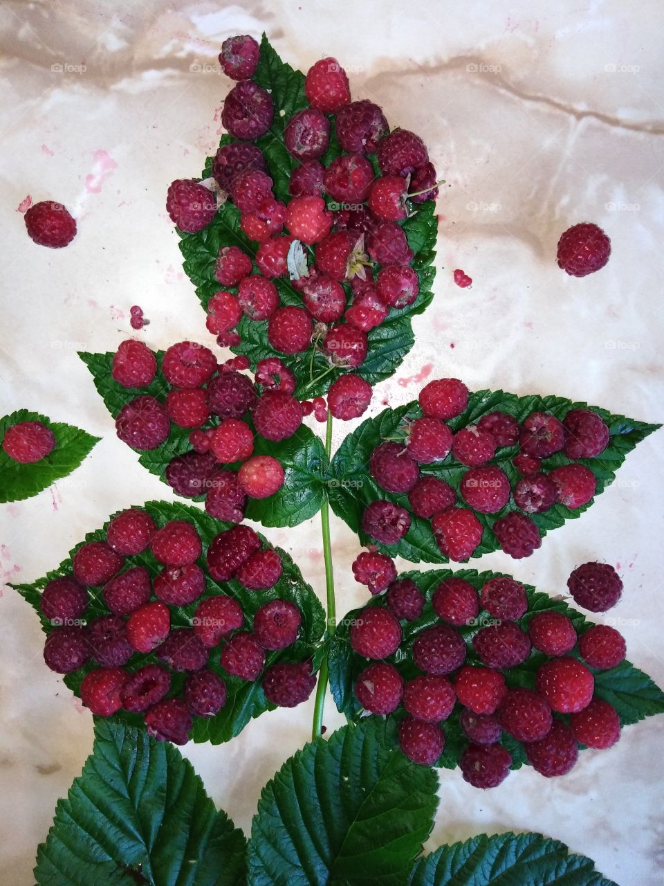 Любимая ягода