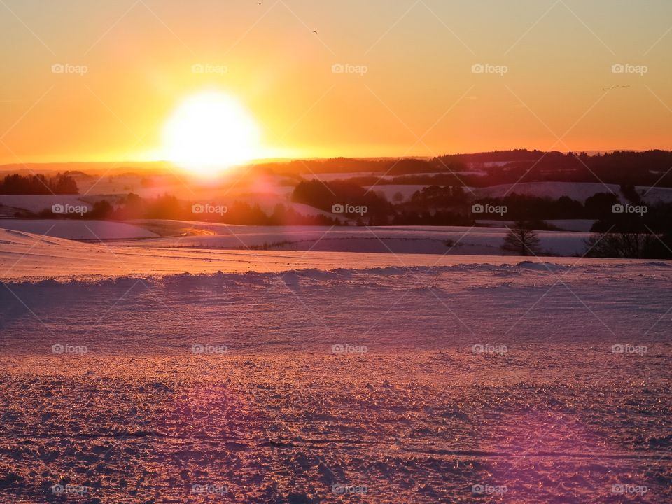 Scenic view of a trees at morning
