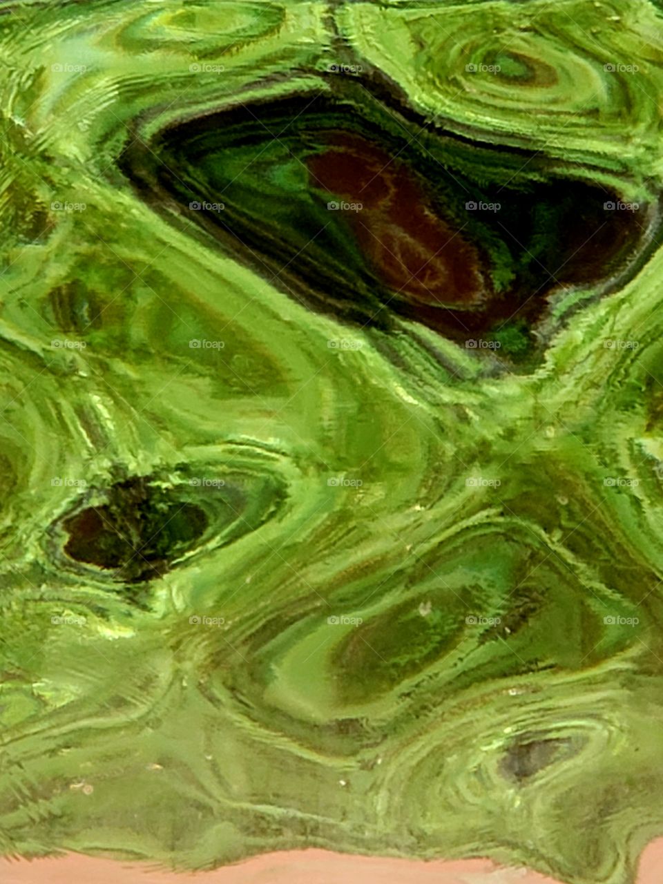 plants through a glass block