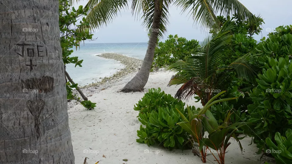 Maldives