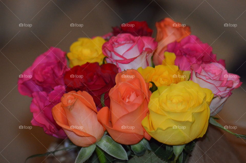 bouquet of roses in macro