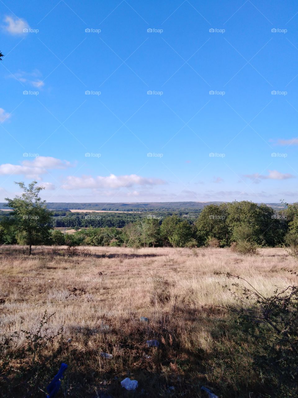 Forests and Hills. Viewed from a Large Glade.