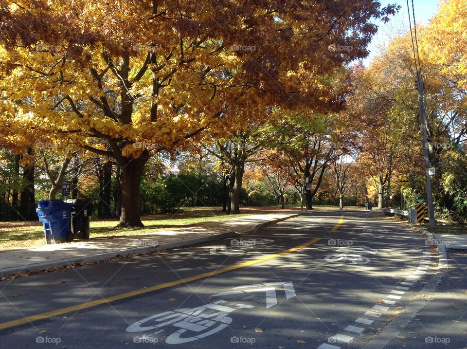 Autumn in the park