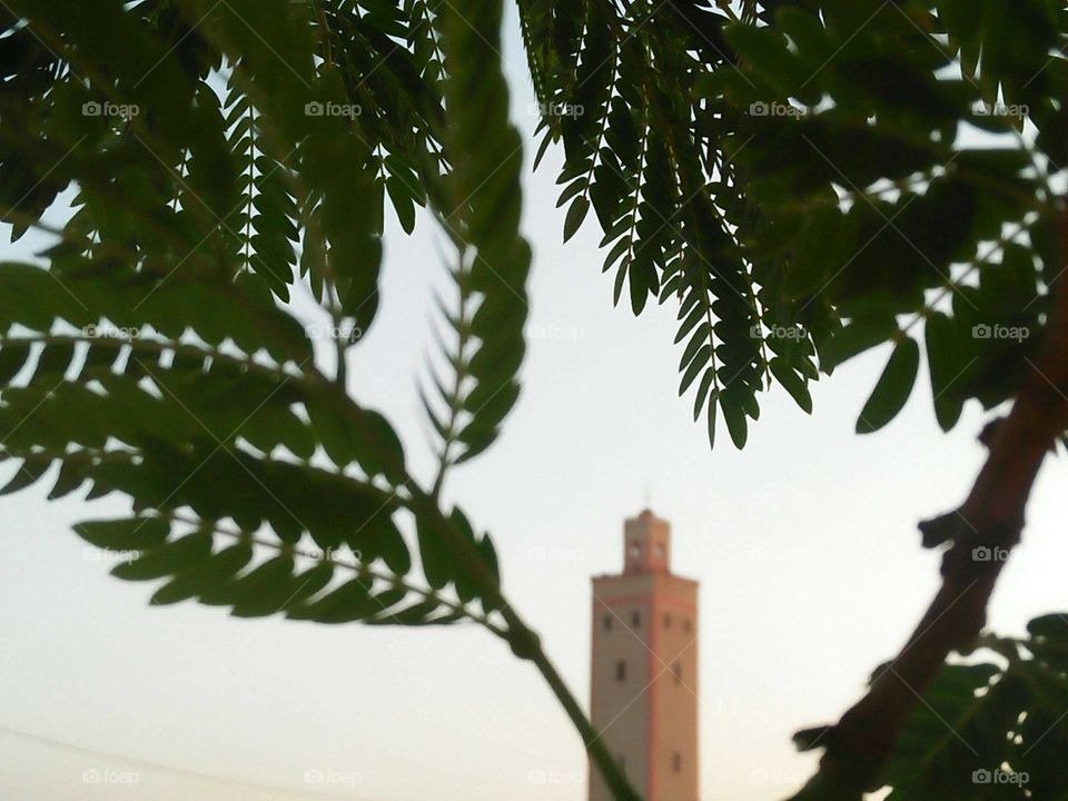 Beautiful minaret mosque