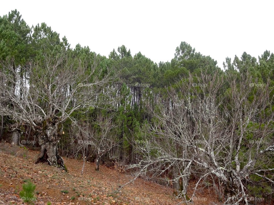 Hiking outside Sevilla, Spain