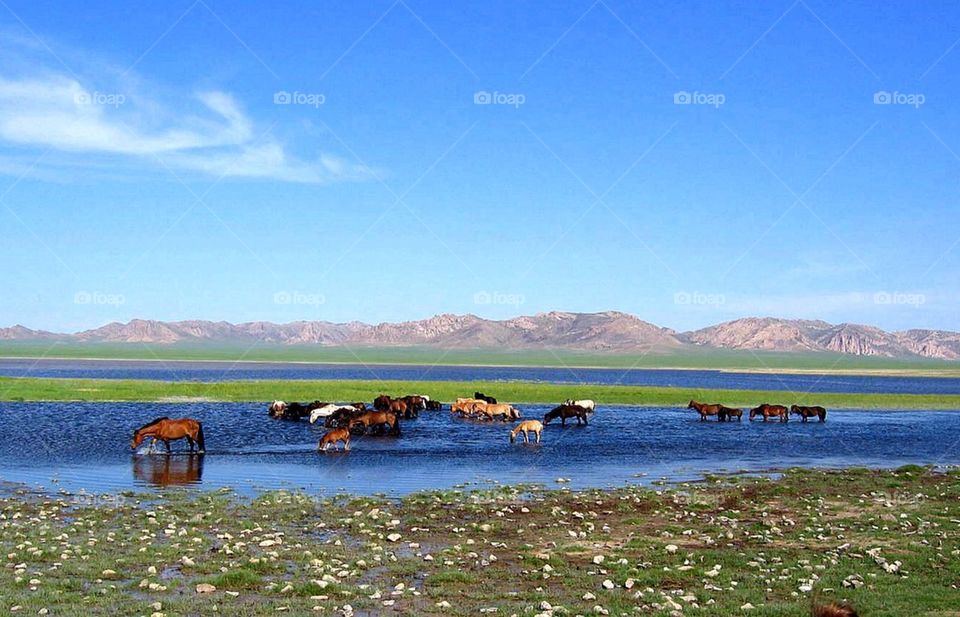 lake mountains mongolia desert by anetteaventyr