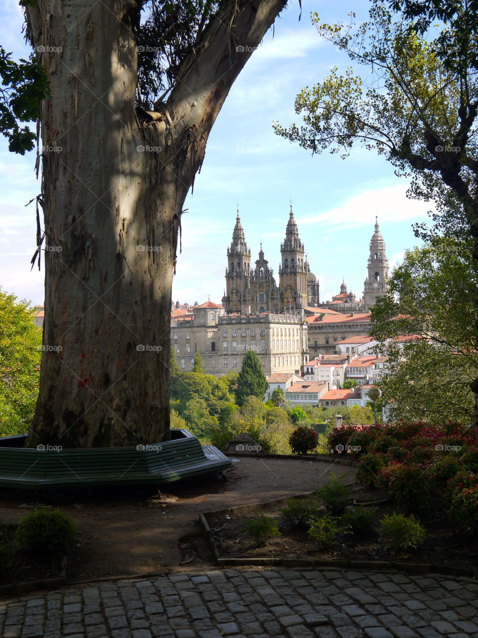 tree park spain catedral by alejandrorubiob
