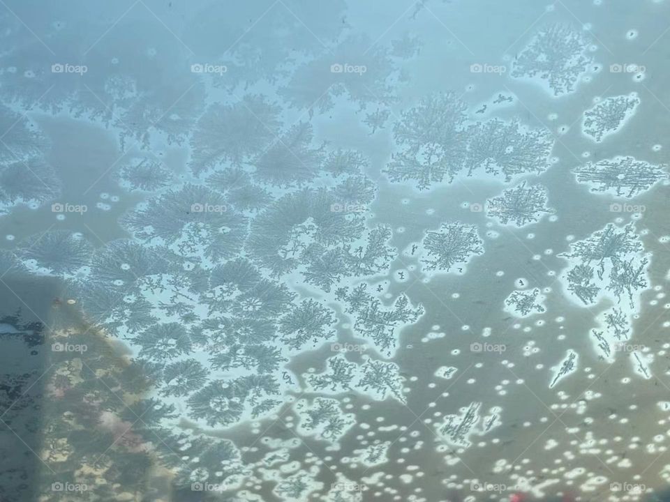 Beautiful ice flowers at a window on a cold winter day.