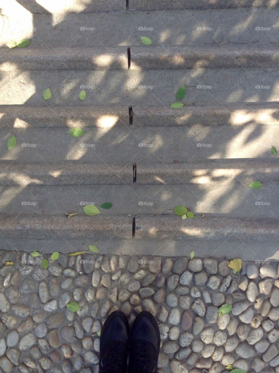 Standing point on a path in a park where it changes