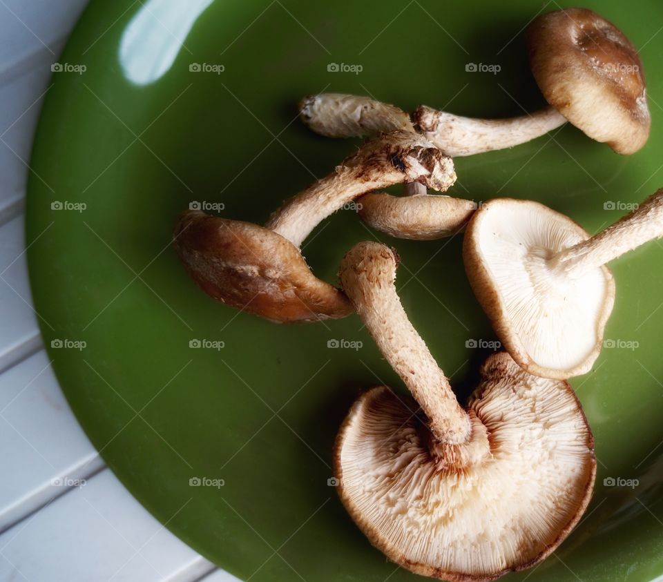 Food. Shiitake Heaven