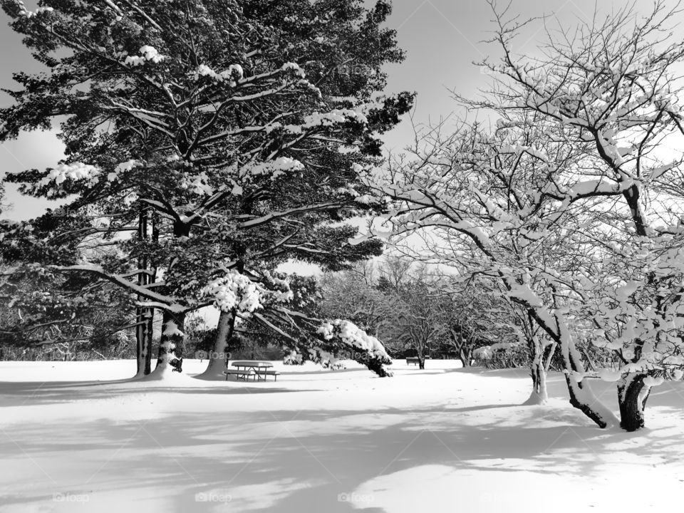 Winter scene Knox farms