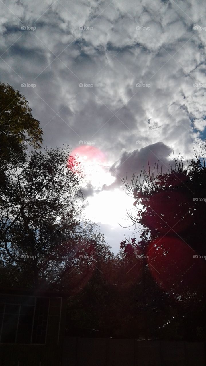 The sun in the morning