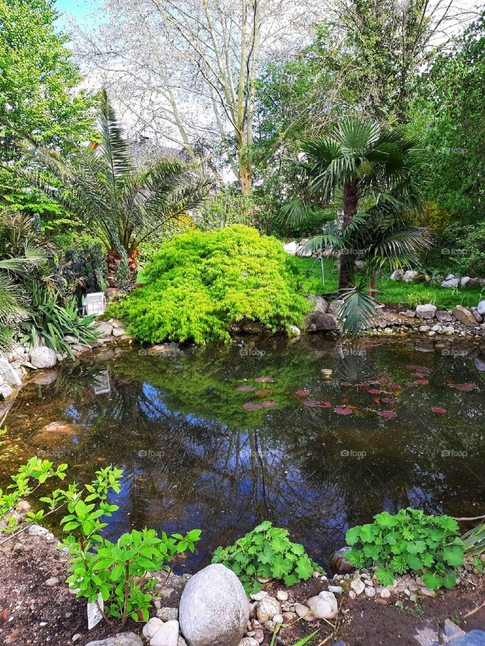 When you have your own garden pond