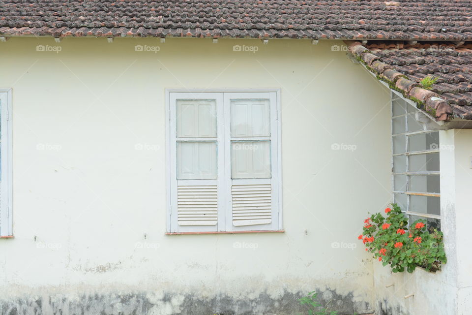 Window, House, Family, Architecture, Door