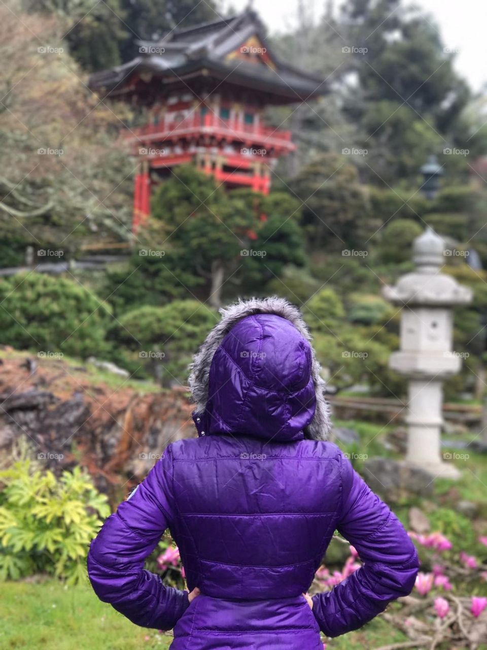A woman using a purple coat admiring a Japanese temple. 