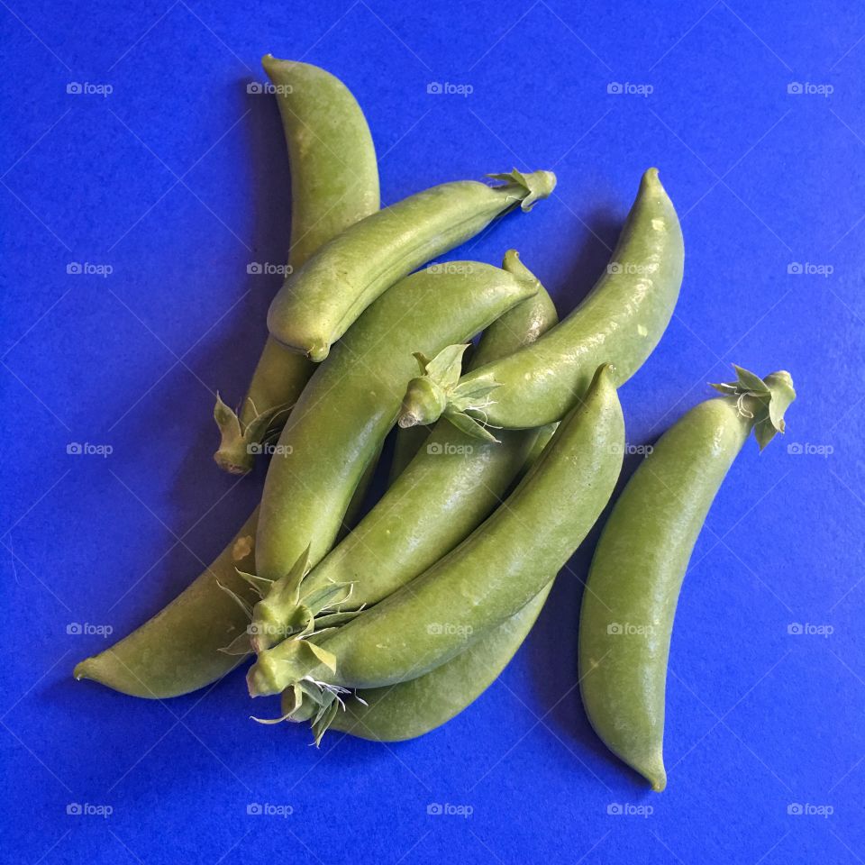 Green bean pods on a blue background 