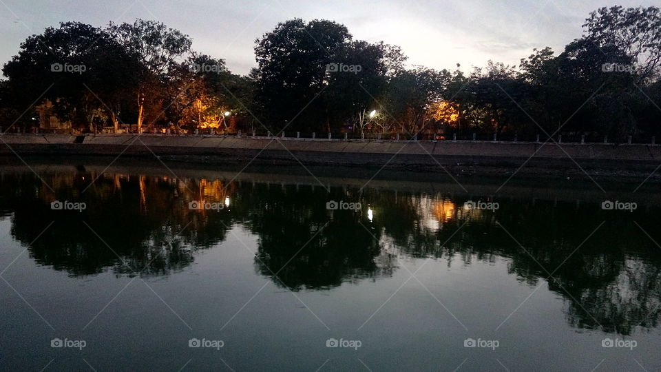 lights in  trees at park