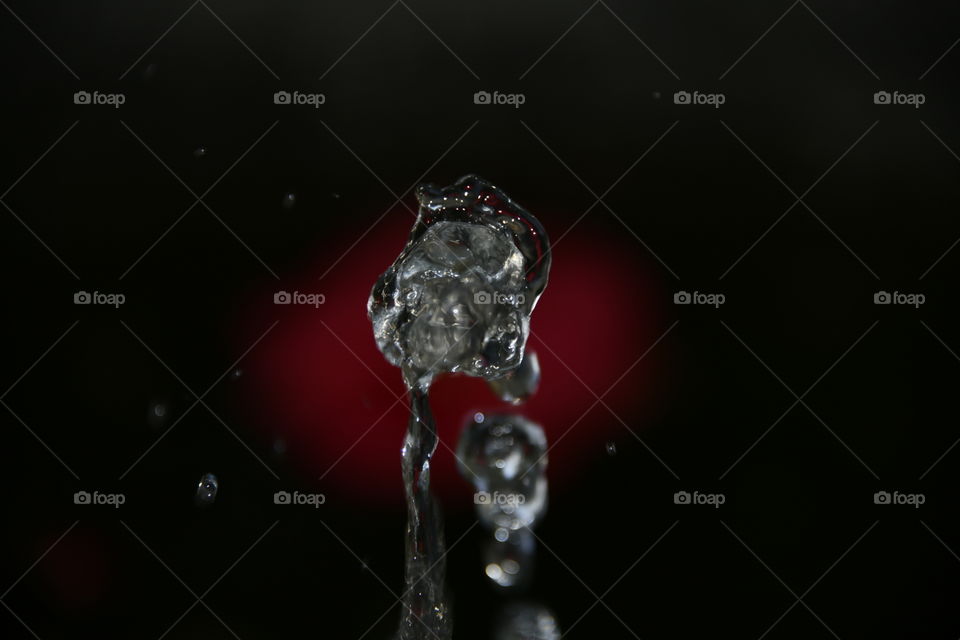 Jardín botánico, Madrid