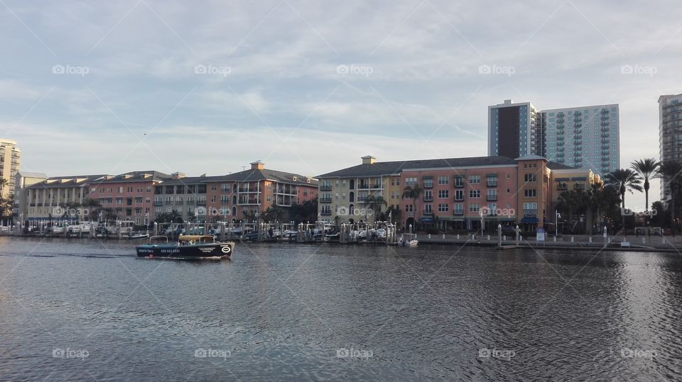 tampa river